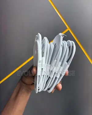 iPhone 16 Usb - C 60w Cable (1m)