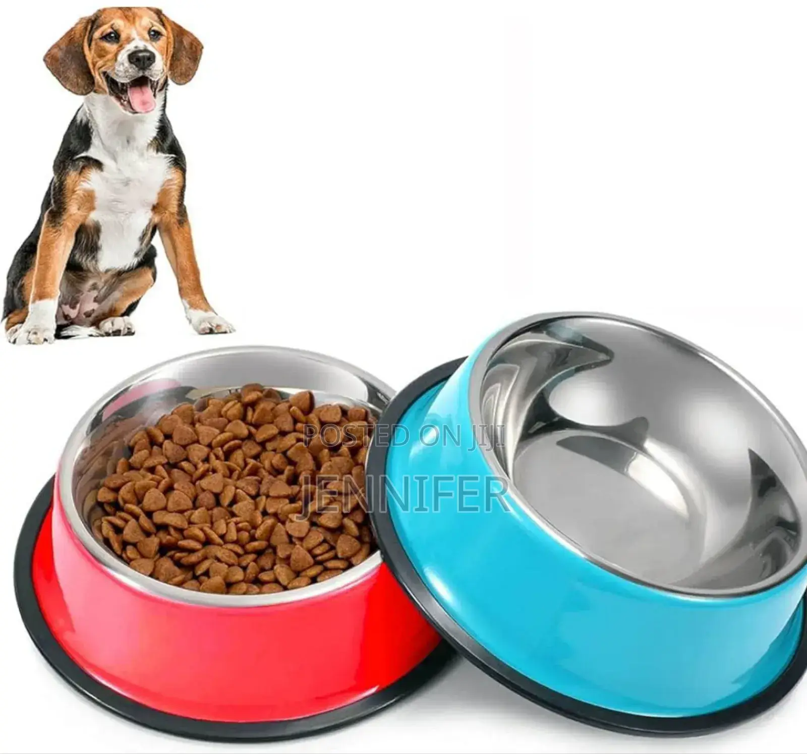 Stainless Steel Pet Bowls