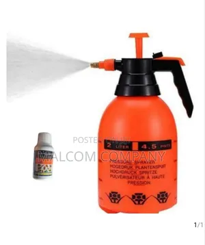 Bedbugs Killing Chemical With Pump Spray.