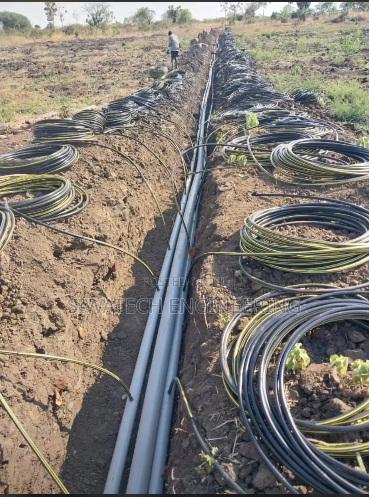 Irrigation Driplines