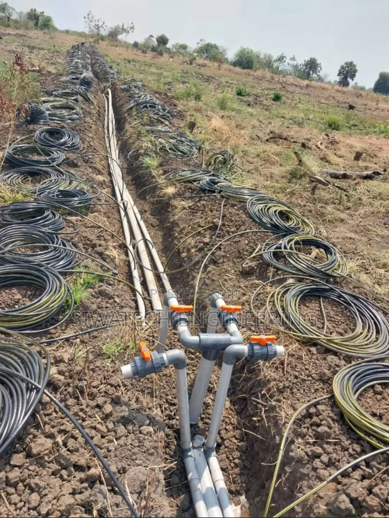 Irrigation Driplines