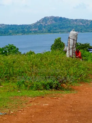 Plot for a Country Home for Sale