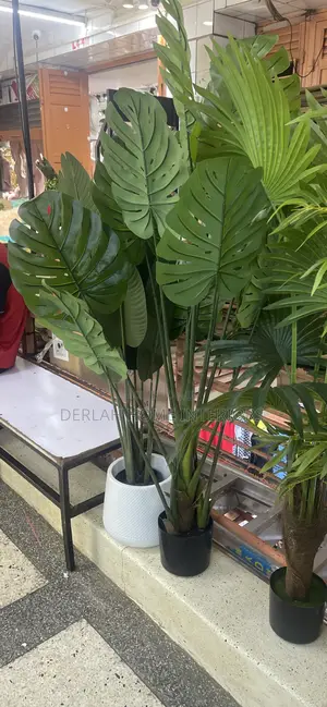 Durable Artifcial Plants
