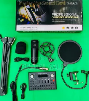 Professional Condenser Microphone