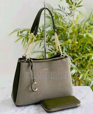 Classy Ladies Bags