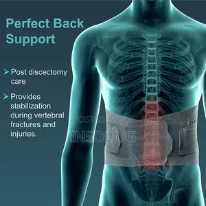 Back Support Brace