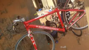 Bike Spraying Customizing