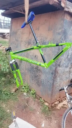 Bike Spraying Customizing
