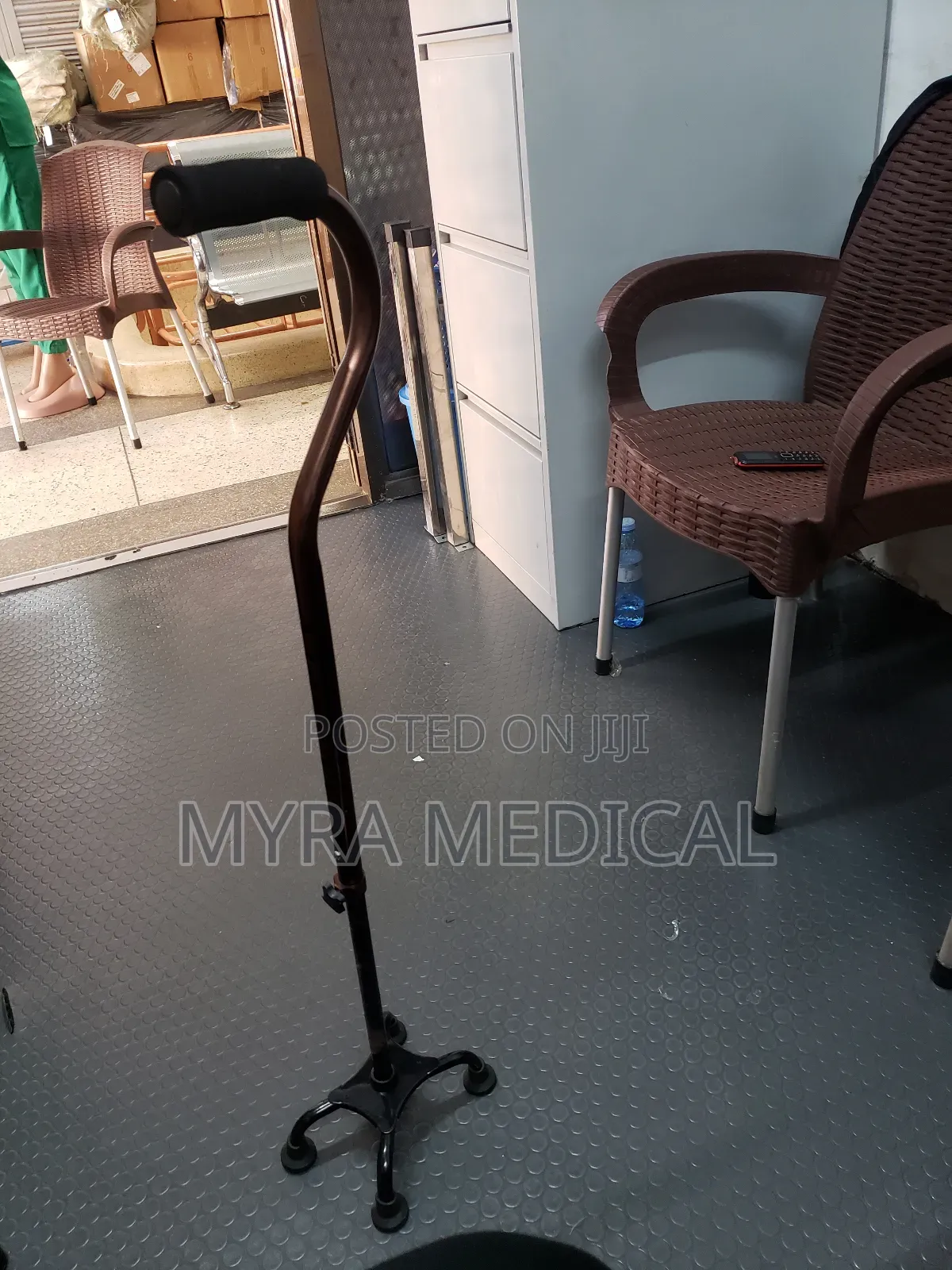 Walking Stick