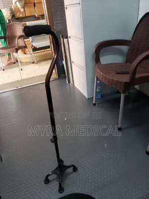 Walking Stick