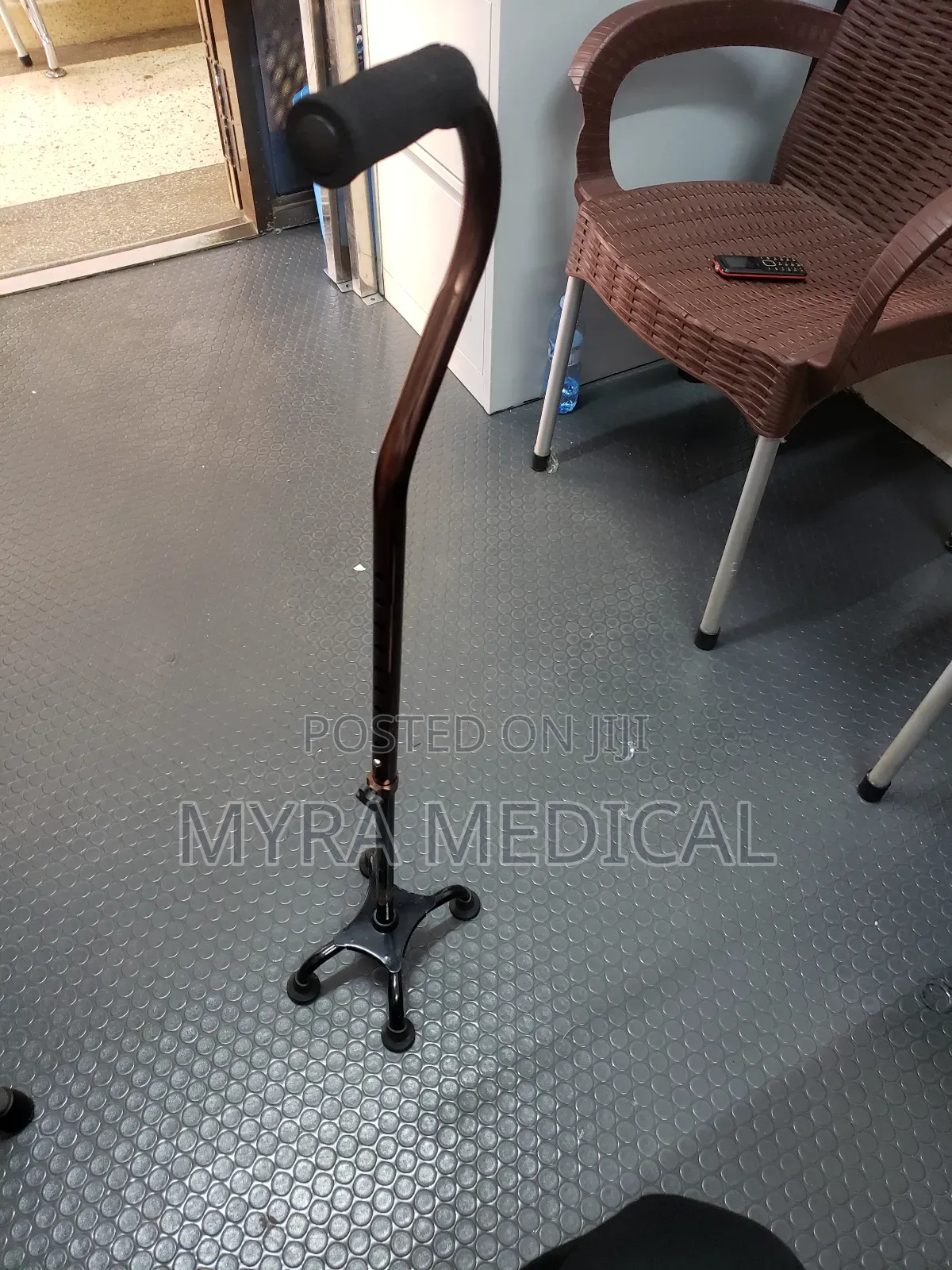 Walking Stick