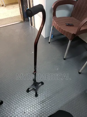 Walking Stick