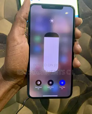 Apple iPhone XS Max 64 GB Gold