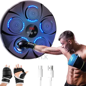 Boxing Training Machine