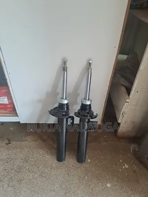 F 25 Shock Absorbers