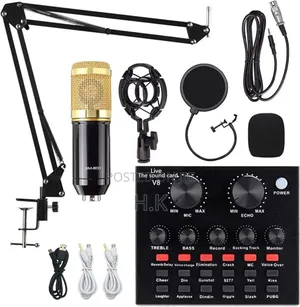 Telie Professional Condenser Microphone
