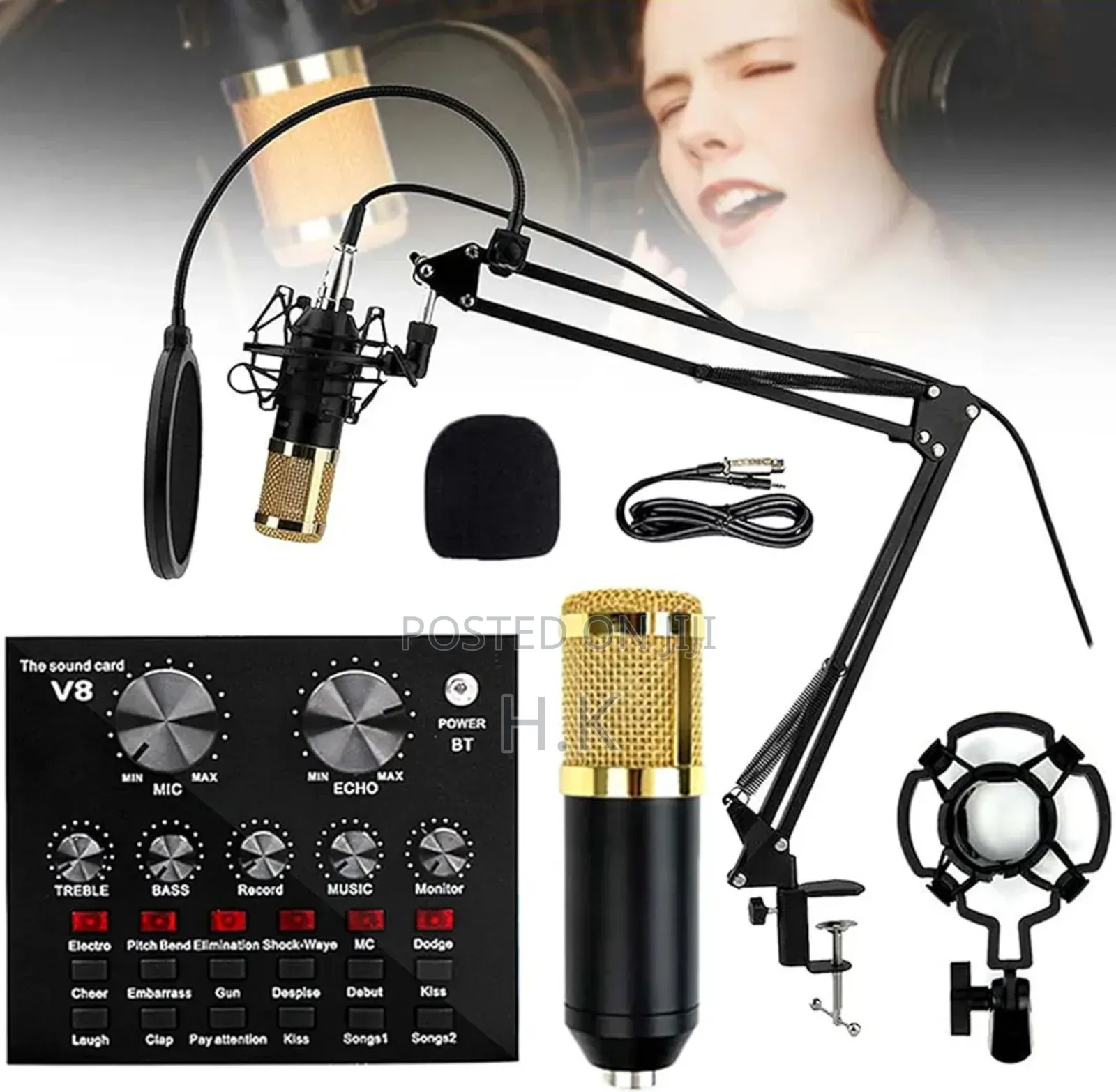 Telie Professional Condenser Microphone