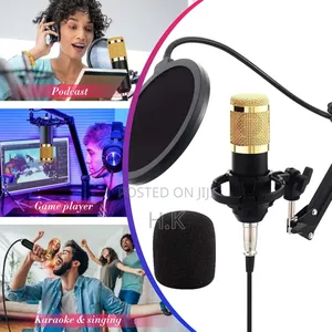 Telie Professional Condenser Microphone