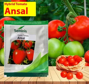 Ansal F1 Tomato Seeds