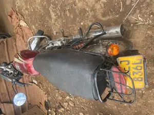 Bajaj Boxer 100 2019 Red