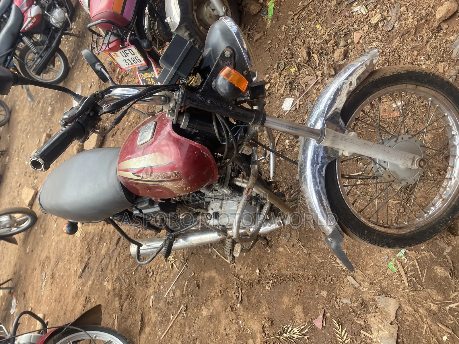Bajaj Boxer 100 2019 Red