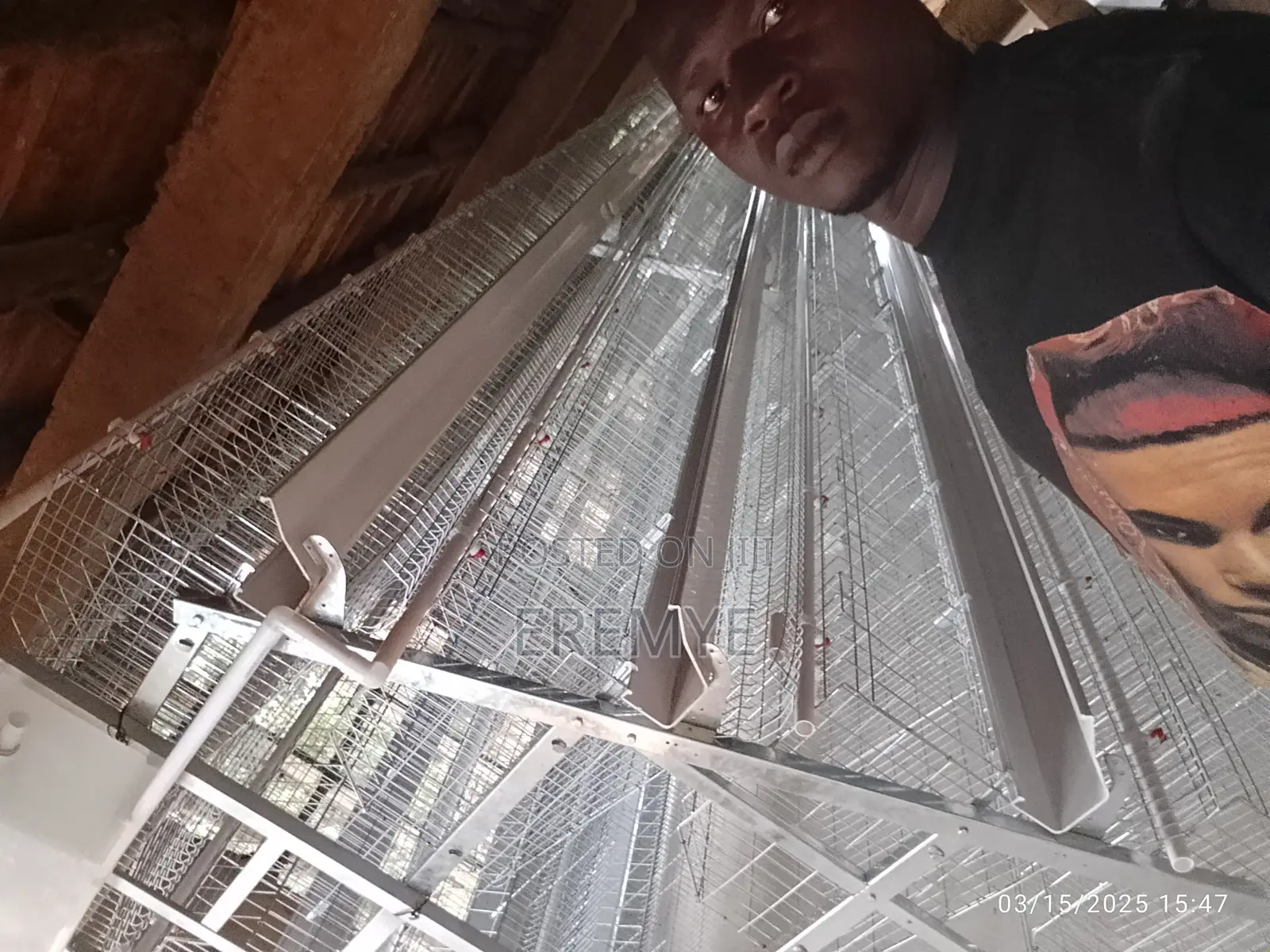 Brand New Layer Cages