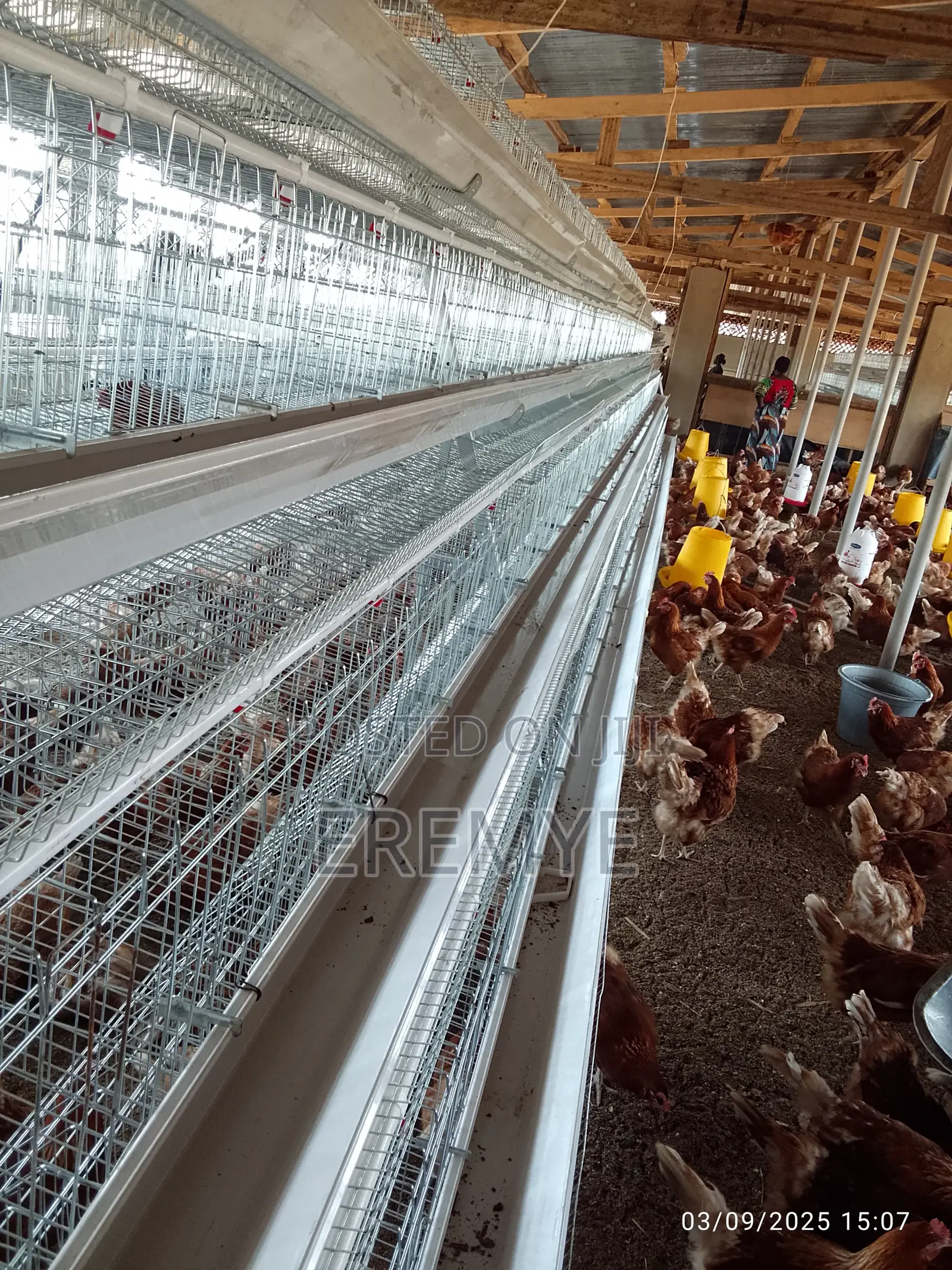 Brand New Layer Cages