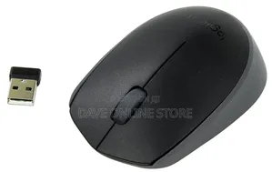 Logitech Wireless Mouse M171