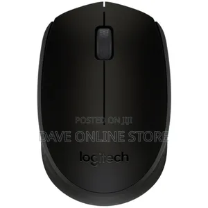 Logitech Wireless Mouse M171