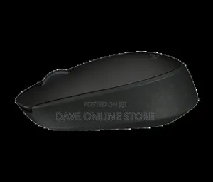 M170 Logitech Wireless Mouse