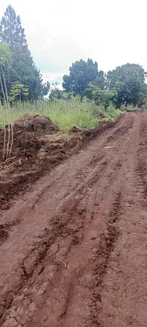 Plots on Sale,