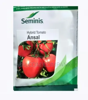 Ansal F1 Tomato Seeds (10,000 Seeds for an Acre)