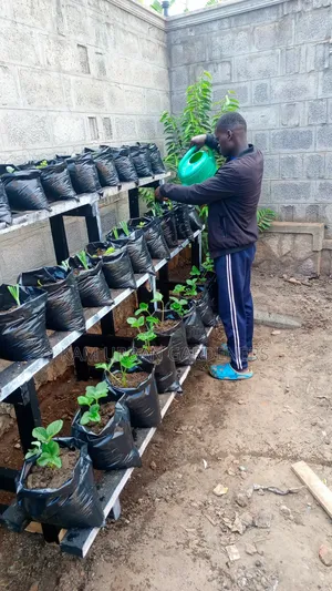 Vertical Garden