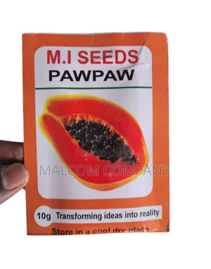 Pawpaw Seeds 10g