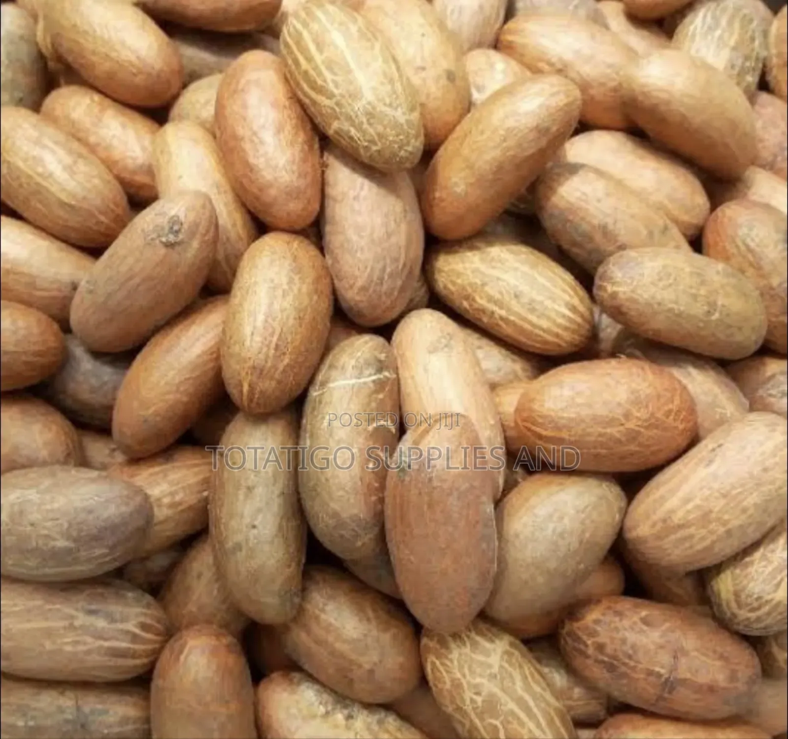 Bitter Kola Seeds( 1kg)
