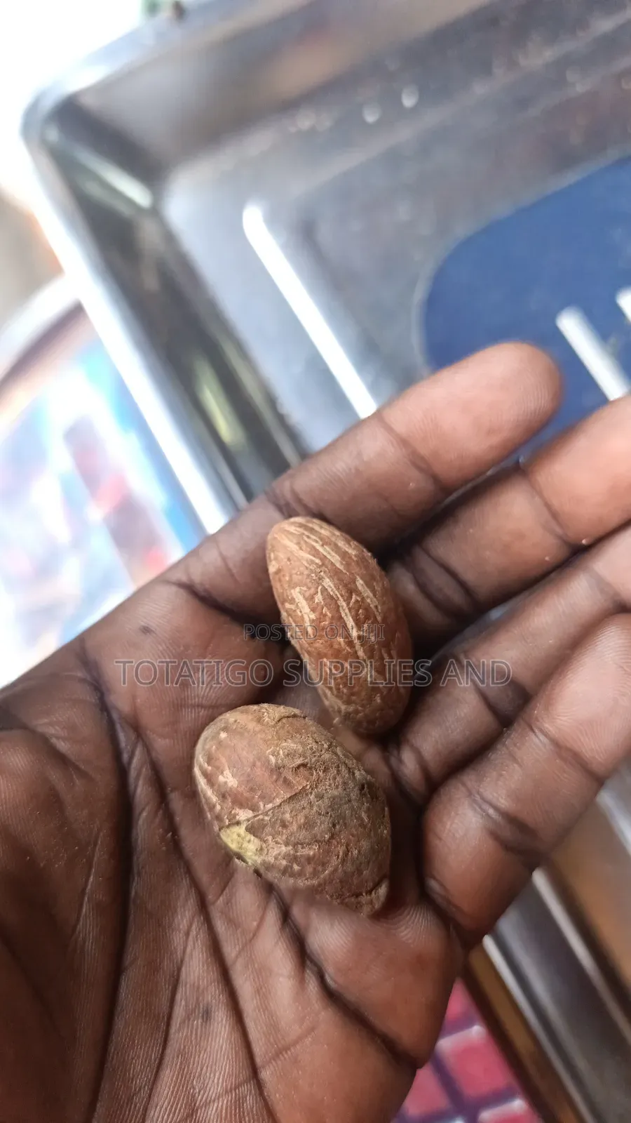 Bitter Kola Seeds( 1kg)
