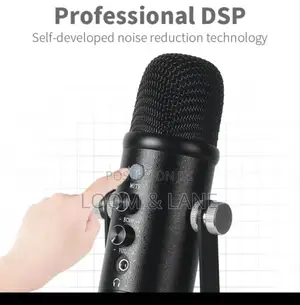 Sensitive Pickup Pure Sound Microphone