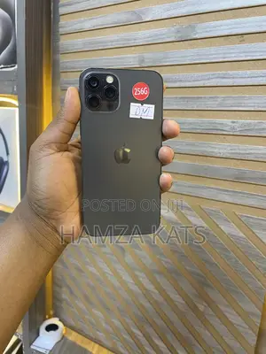 Apple iPhone 12 Pro 256 GB Black