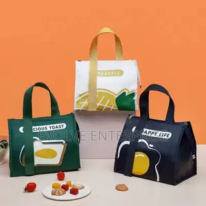 Insulated Thermal Lunch Bag