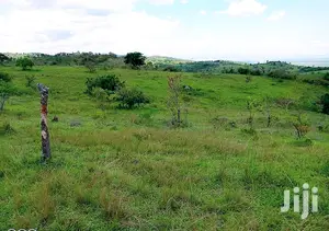 49 Acres of Land for Sale in Kitagwenda District