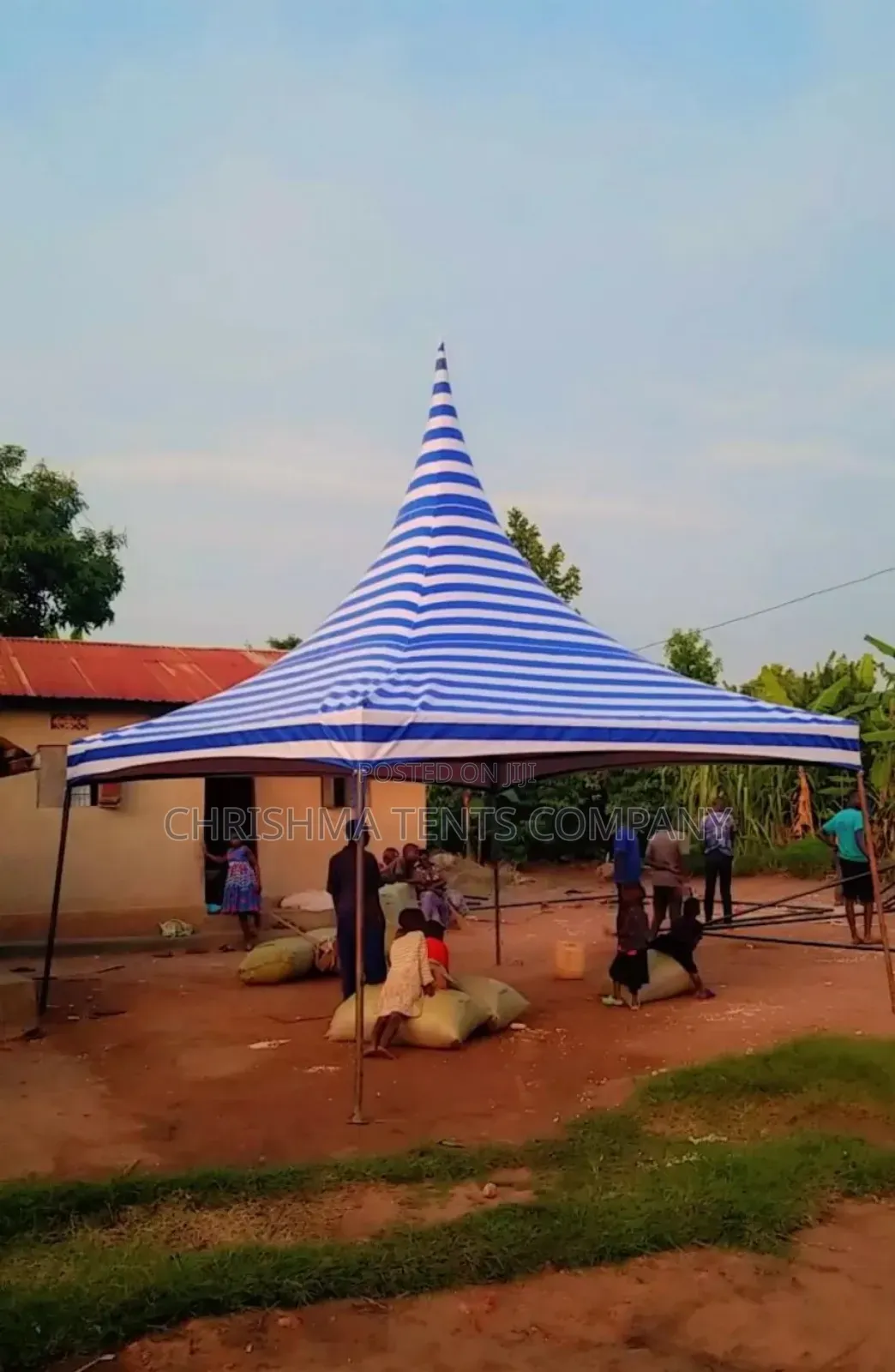 Blue White 50-Seater Tent Without Flaps