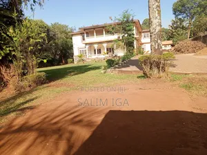 7bdrm Bungalow in Kololo Property, Central Division for rent
