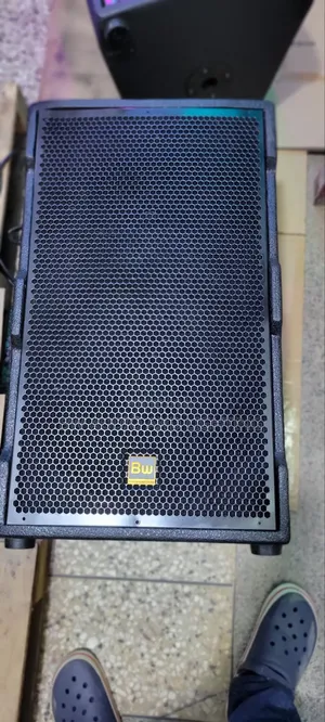 15 Inch Speaker 800w