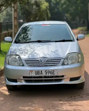 Toyota Allex 2004 Silver