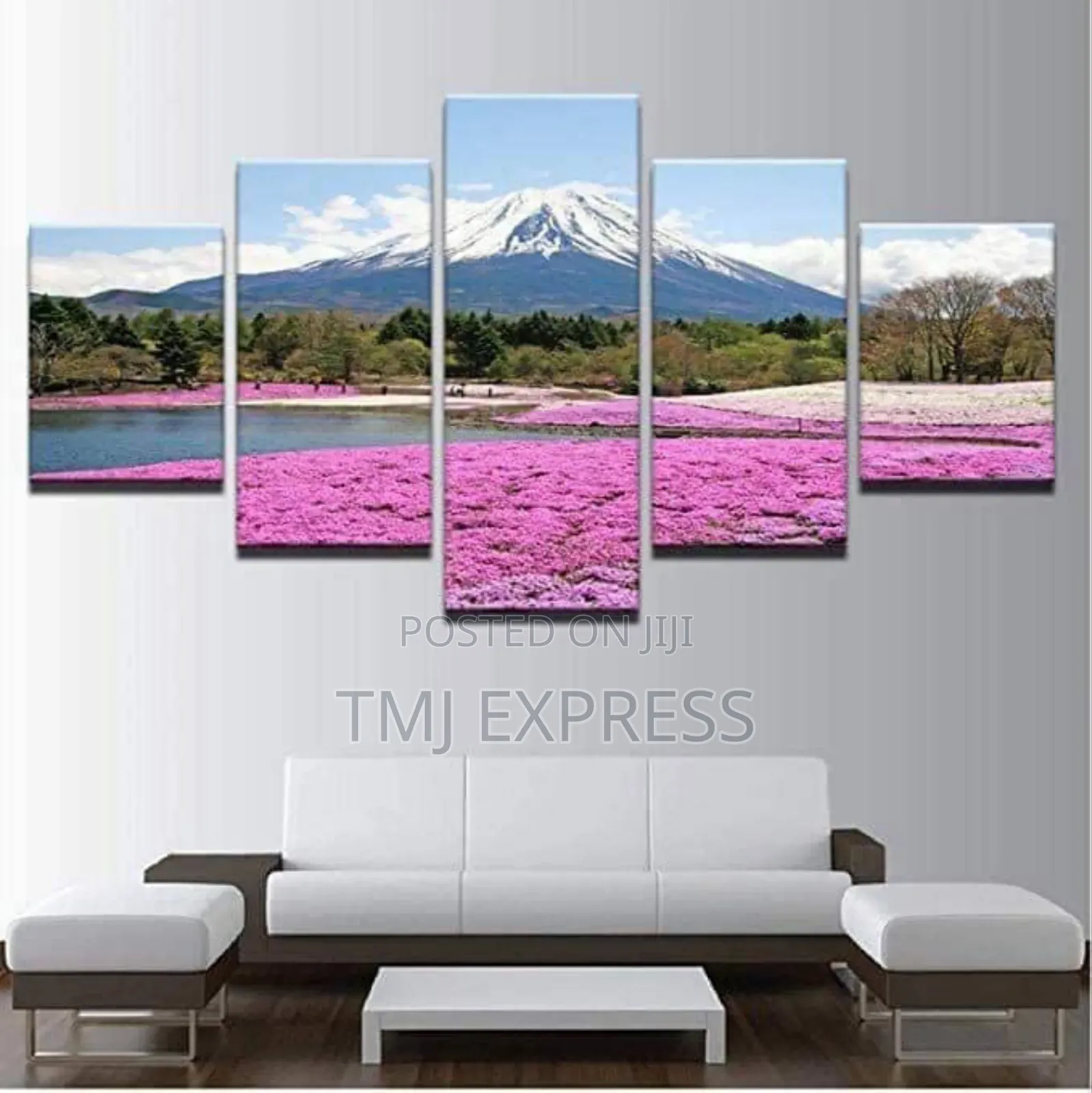 Decorative Wall Paintings