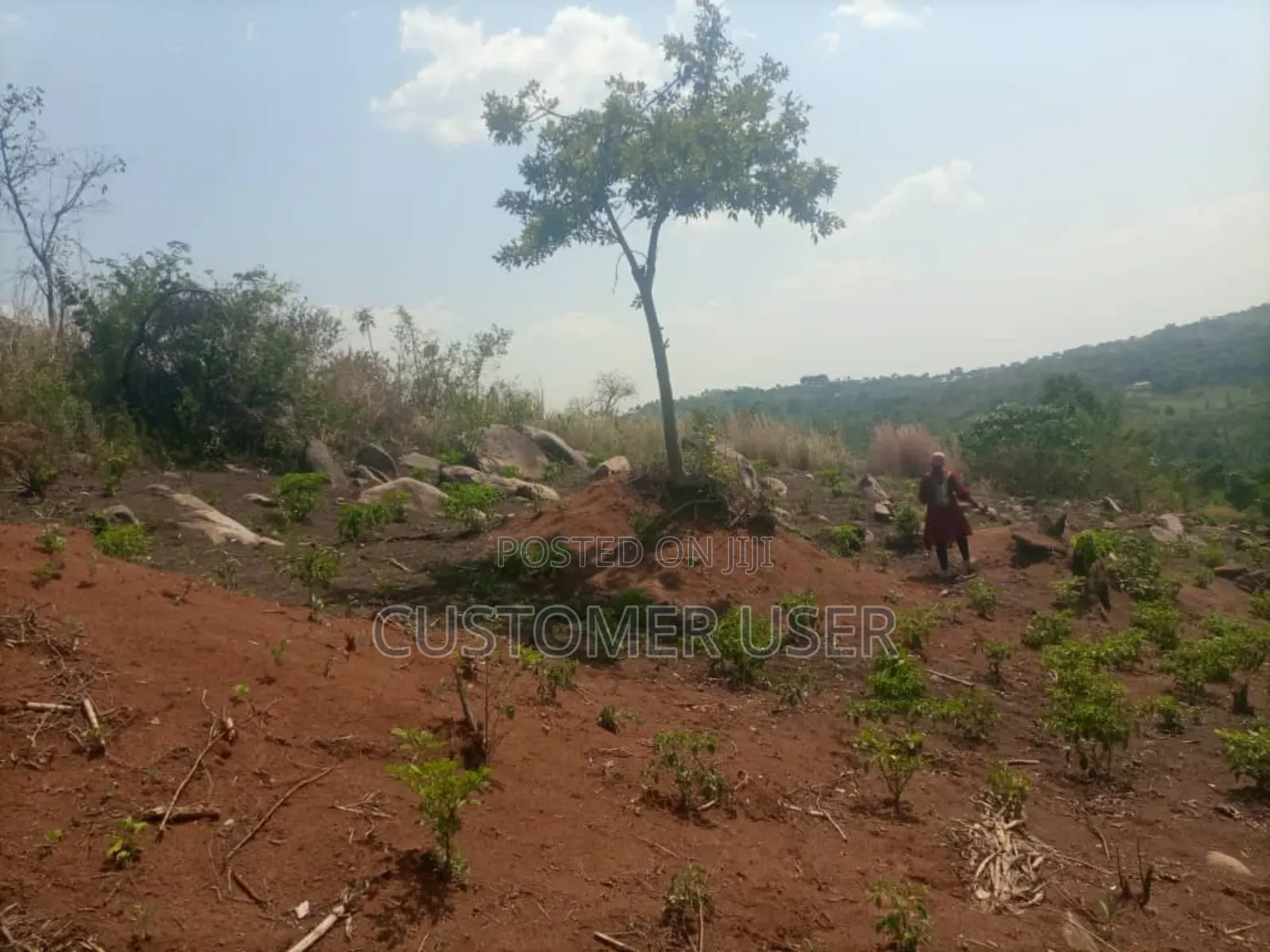 Stone Hill