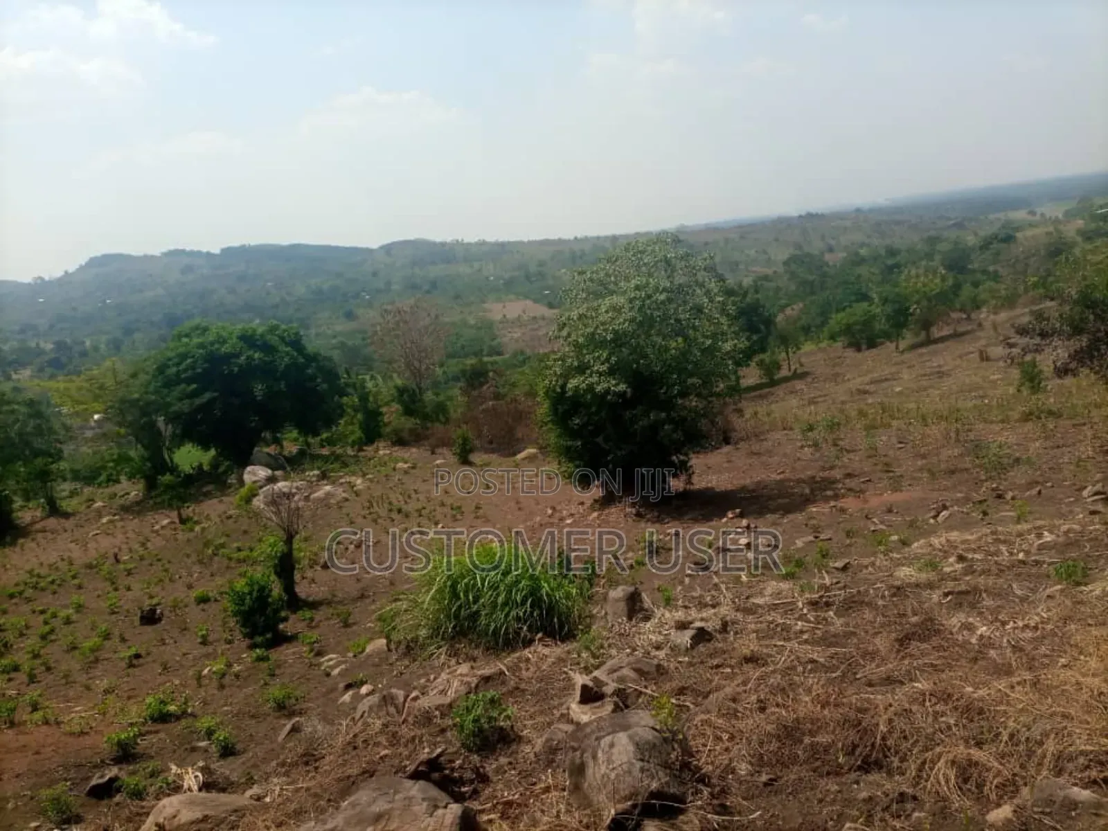 Stone Hill