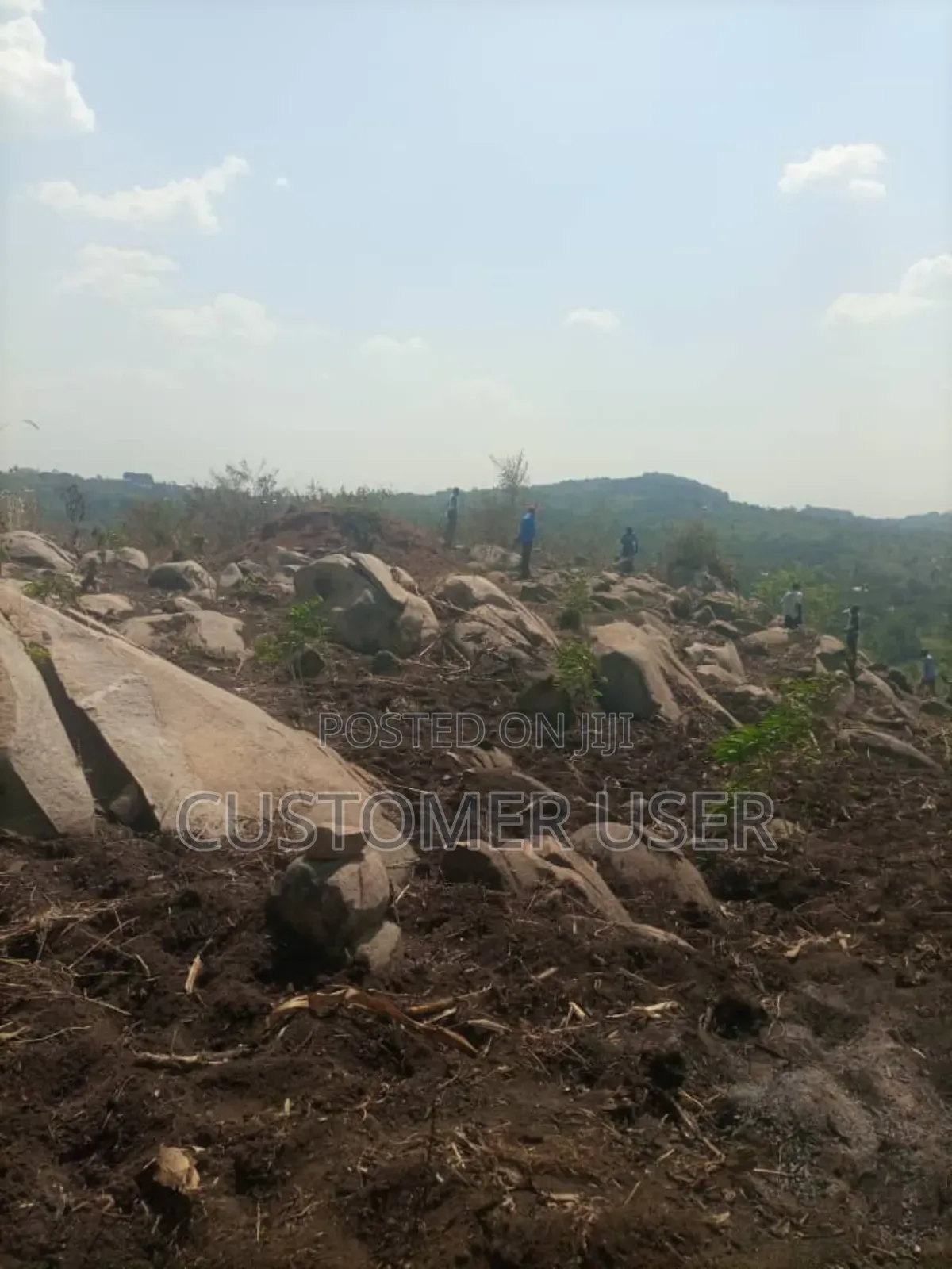 Stone Hill