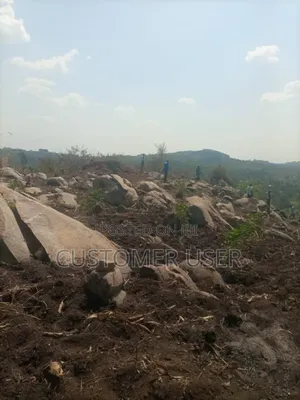 Stone Hill