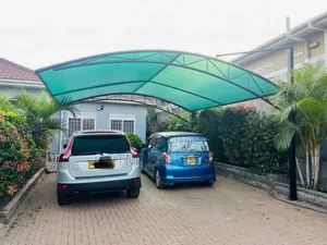 Unique Shades For 2 Cars